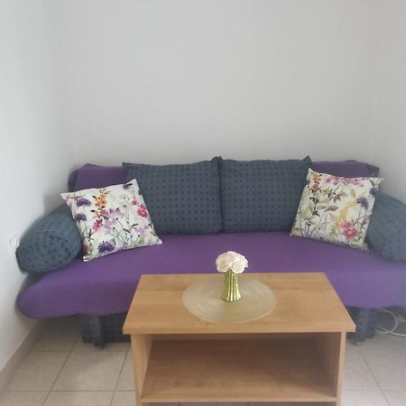 Apartment Savic Starigrad Paklenica Exterior photo
